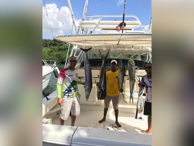 Listing image 446741