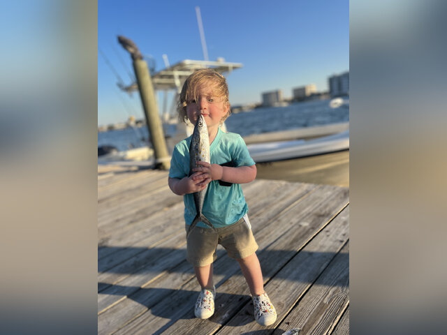 Listing image 820887