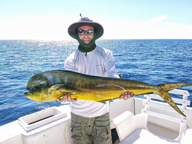 Listing image 843199