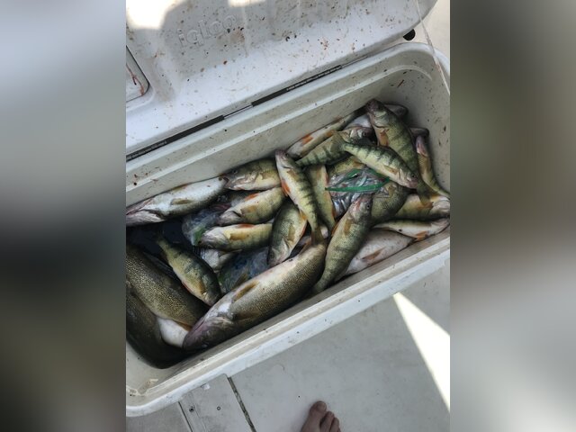 Listing image 449750