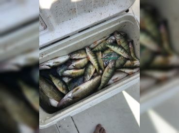 Tater Baiter Charters thumbnail