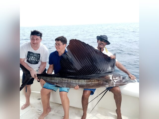 Listing image 647619