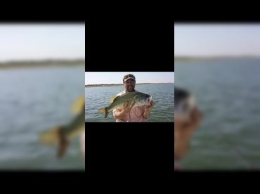 South Texas Elite Outfitters