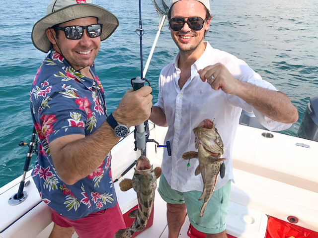 Listing image 490447