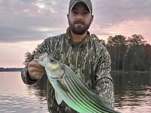 Listing image 482071