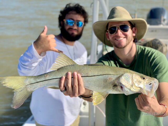 Listing image 518536