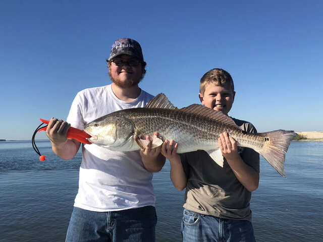 Listing image 467265