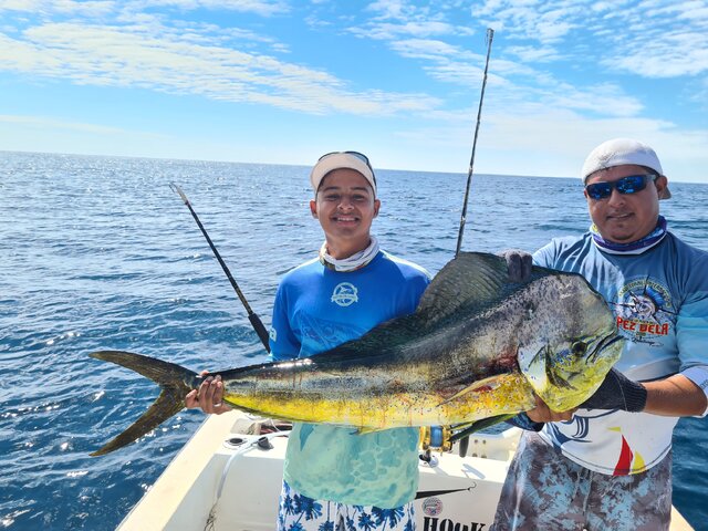 Listing image 656790