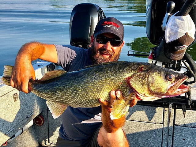 Listing image 460158