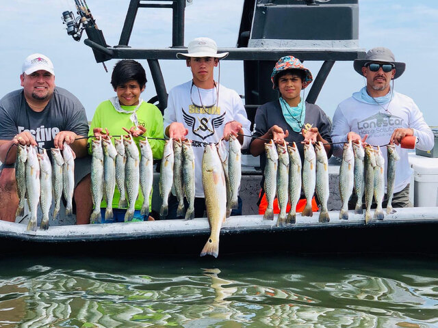 Listing image 458916