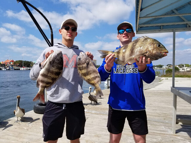 Listing image 471382