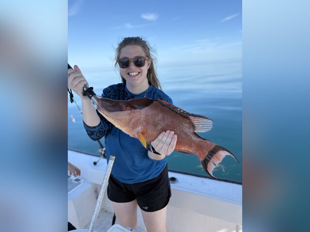 Listing image 1318377