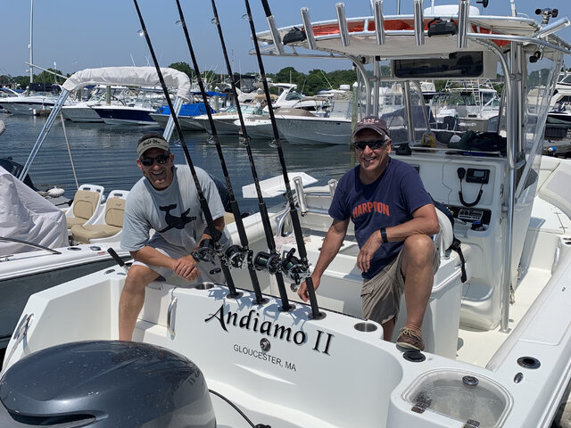 Listing image 462752