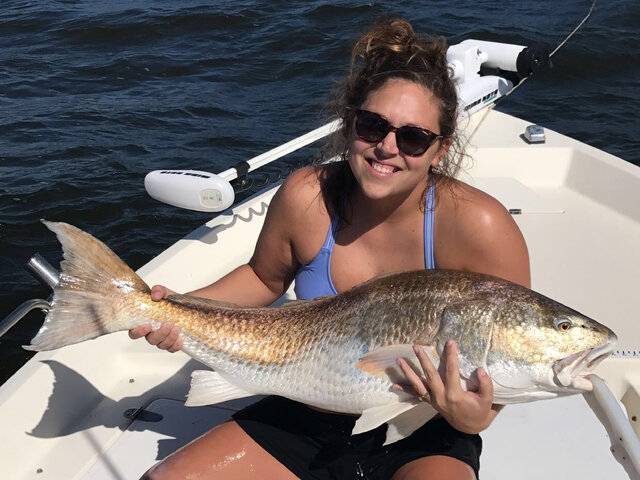 Listing image 465105