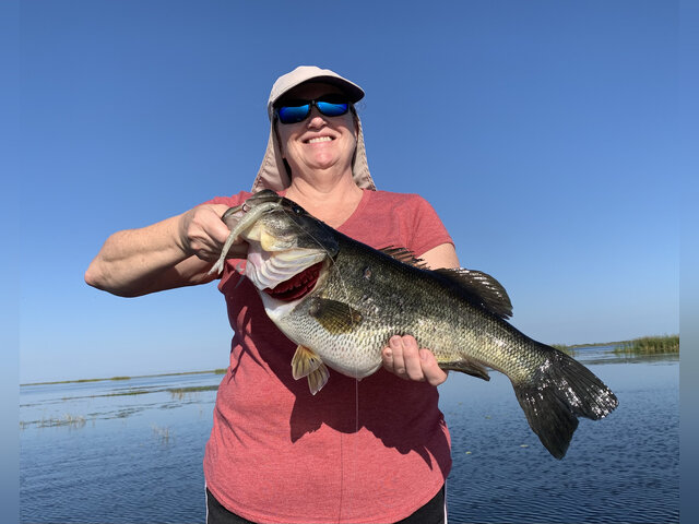 Listing image 867793