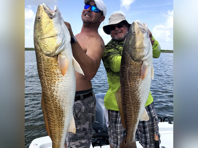 Listing image 554661