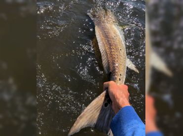 Peelin’ And Reelin’ thumbnail