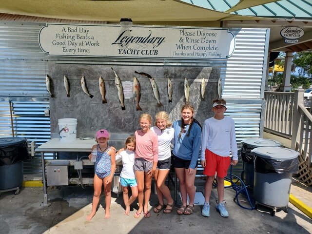 Listing image 468614