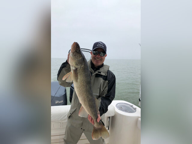 Listing image 524328