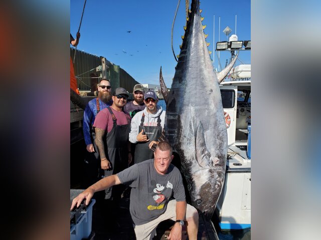 Listing image 660513