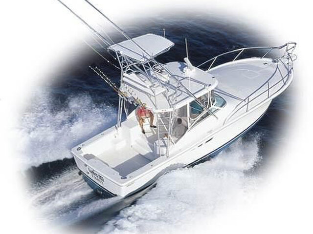 Listing image 511938