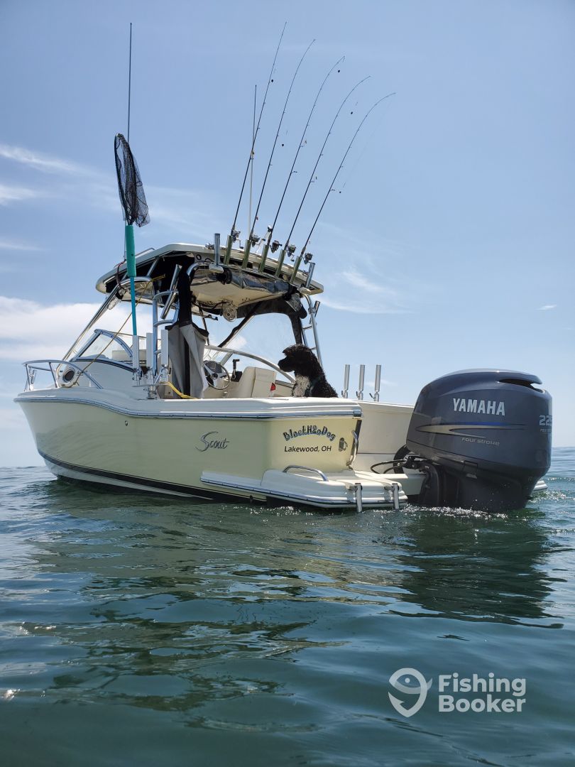 Boat Image