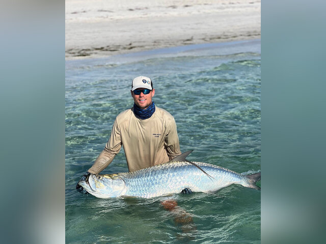 Listing image 808477