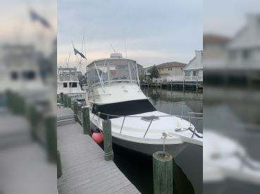 7 Tunas Fishing thumbnail