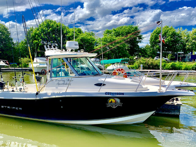 Listing image 596667