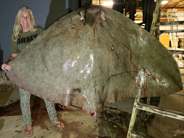 Listing image 477991