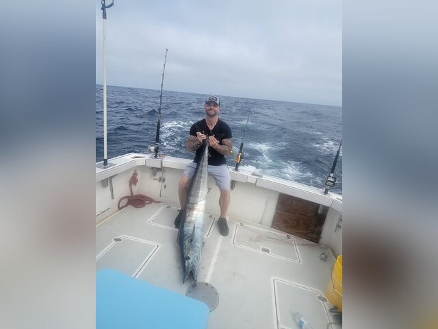 Listing image 1171253