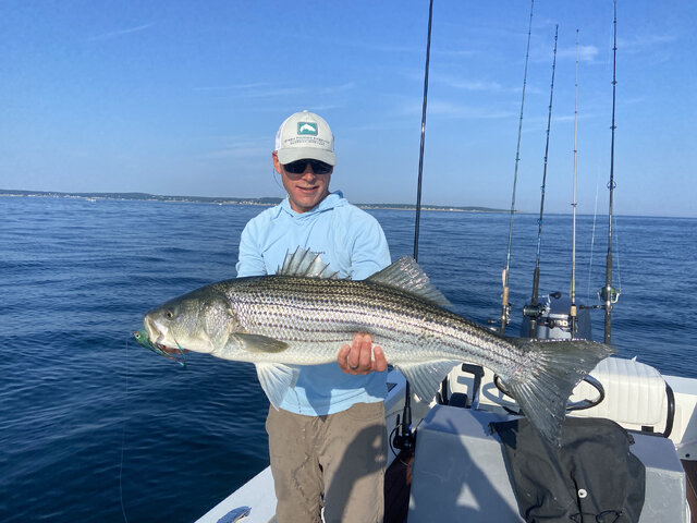 Listing image 794354