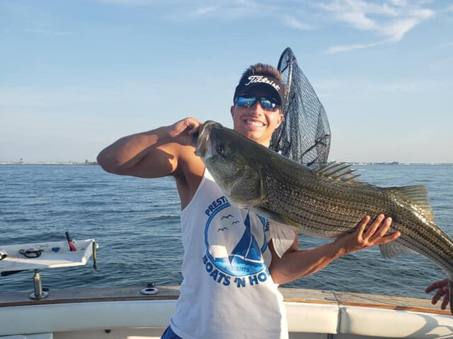 Listing image 478267