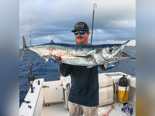 Listing image 480405