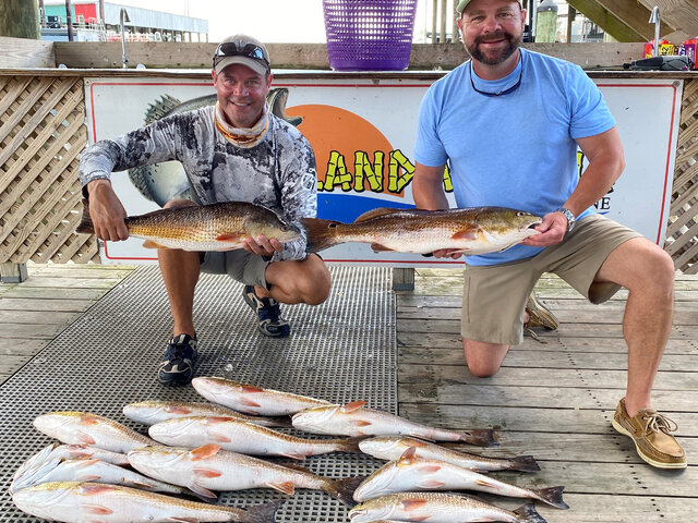 Listing image 507659