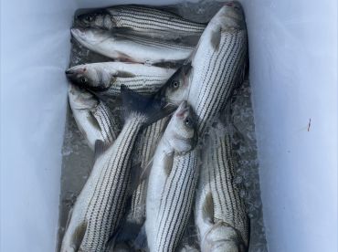 Jig This Charter Fishing thumbnail