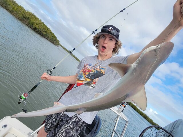 Listing image 972904