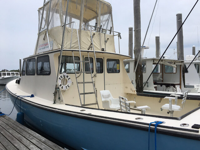 Listing image 497978