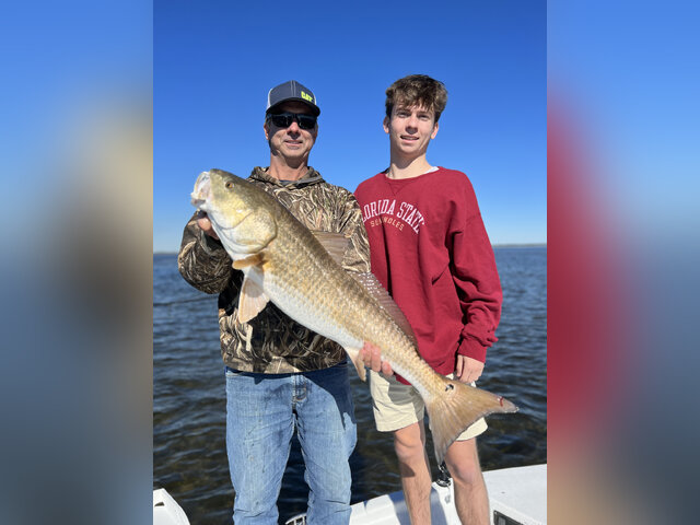 Listing image 859769