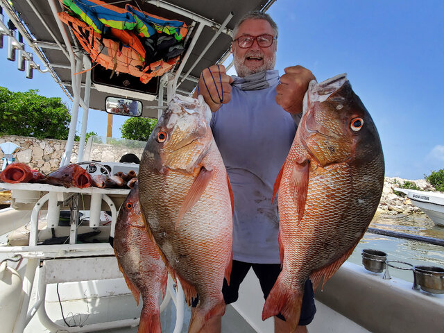 Listing image 935277