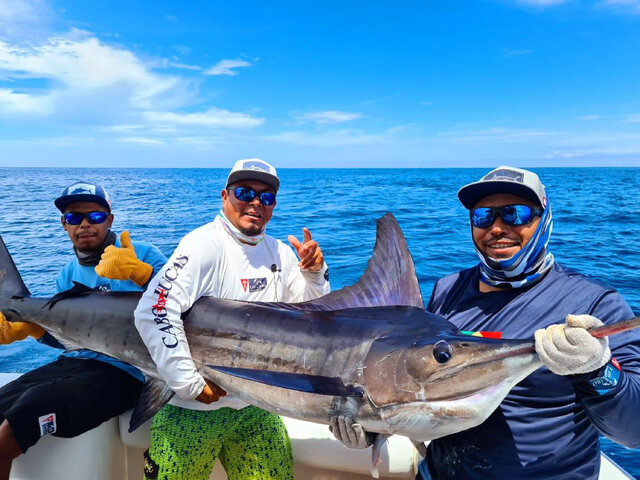 Listing image 483688