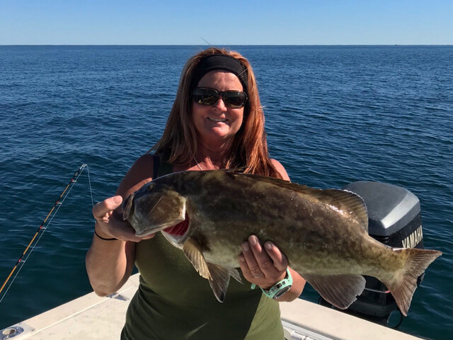 Listing image 497942