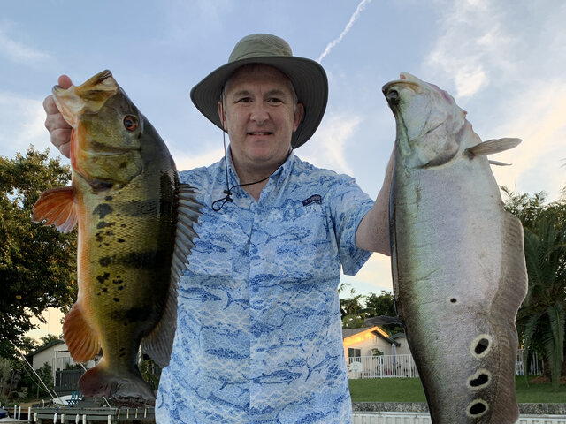 Listing image 486157