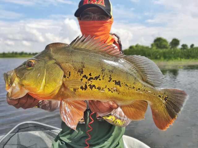 Listing image 506115