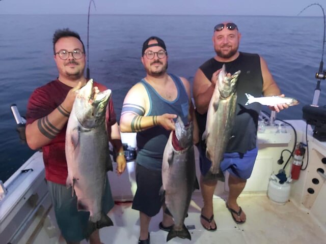 Listing image 489463