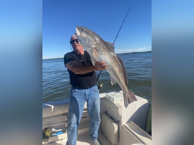 Listing image 629684