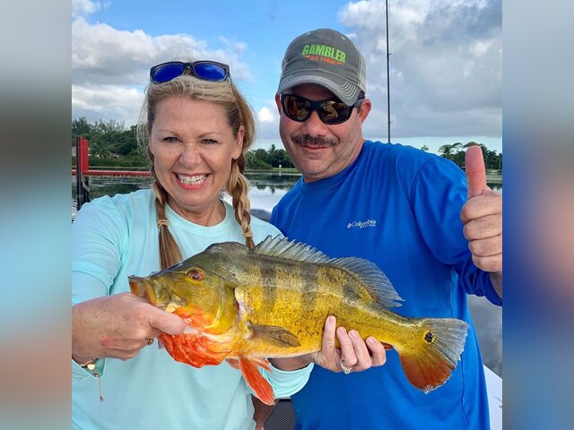 Listing image 489946