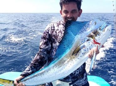 Soleil Sport Fishing thumbnail