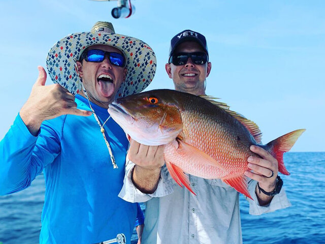 Listing image 493601