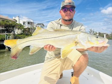 Captain Catch'Em thumbnail